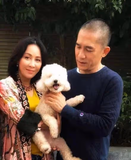 48歲李若彤談未婚未育原因,讓人看到大齡未婚未育女星的心酸