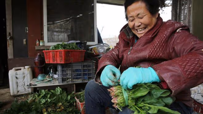 河南6旬大媽20年前向兄妹借錢蓋房子，卻沒有借來一分錢，因為啥