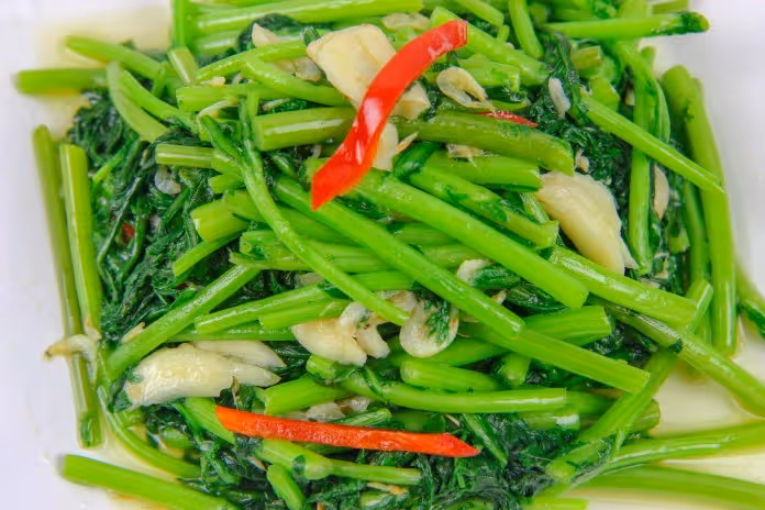 50歲後要捨得吃！常吃5種「高蛋白菜」腿腳才有勁　蔬菜中「營養寶庫」這樣炒又香又美味