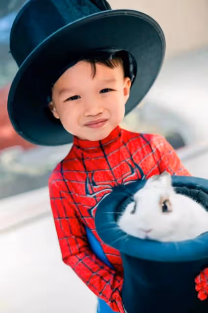 胡杏兒慶小兒子滿3歲，蜘蛛俠派對熱鬧隆重，一家五口同框超幸福