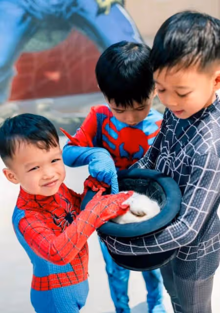胡杏兒慶小兒子滿3歲，蜘蛛俠派對熱鬧隆重，一家五口同框超幸福