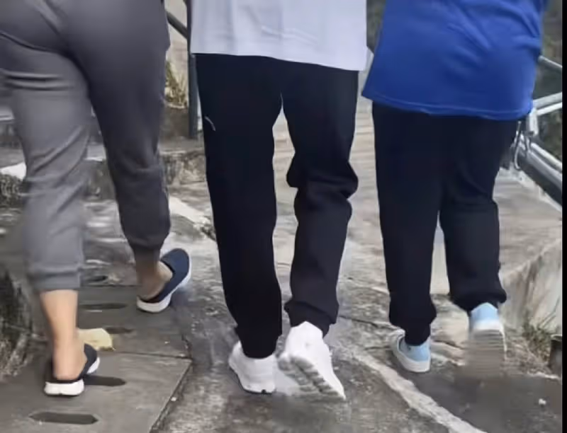 何超蓮早起為賭王掃墓,母親陳婉珍穿著低調,兩名保姆攙扶上山