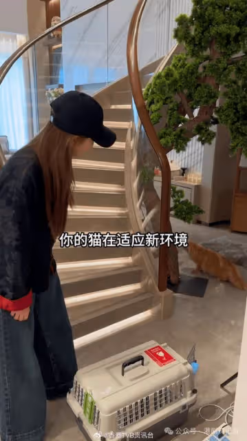 曾傳緋聞關係匪淺！傅穎簽約新公司獲老闆揸豪車接機入住複式豪宅