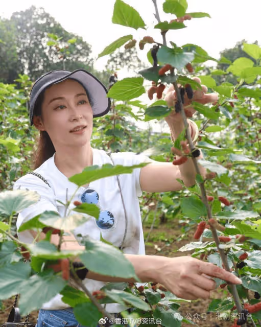TVB人妻女神推介湛江海鮮大餐!遭富貴同居男友投訴嘴刁