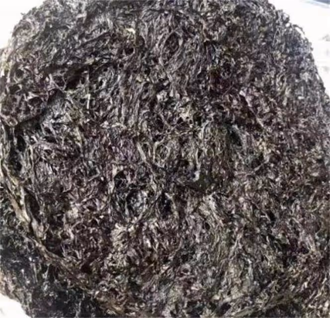頭水紫菜和普通紫菜有什麼區別?簡單三步,辨別頭水紫菜