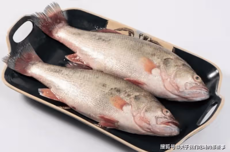蒸鱸魚時,牢記「2不放、加4樣」的訣竅,魚肉特鮮嫩,好吃無腥味