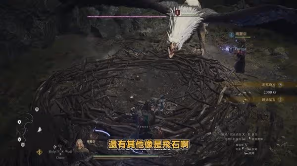 《龍之信條2》超實用技巧分享