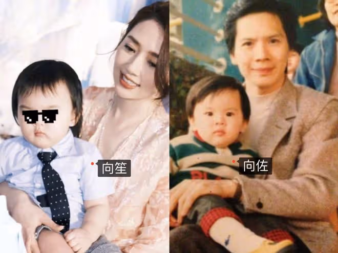 郭碧婷3歲女兒:幫媽媽獲獎12億,長得不像爸,向家繼承人之一