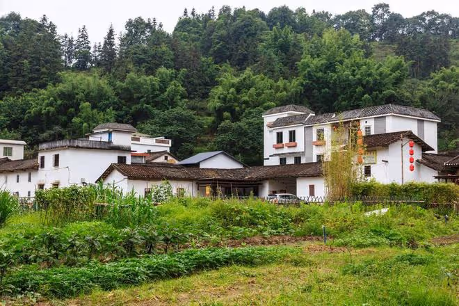 99年父母建房時和大伯鬧掰，如今看到兩家荒廢成鬼宅，卻後悔哭了