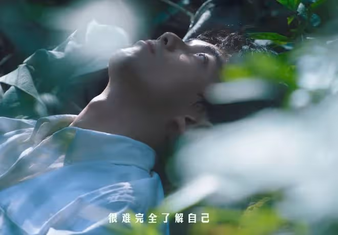 宮崎駿新片與《草木人間》各看一遍,一個上頭,一個看得昏昏欲睡