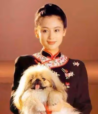 20多年前陳紅在陳凱歌家拍照,她躺在沙發上的樣子,堪稱人間尤物