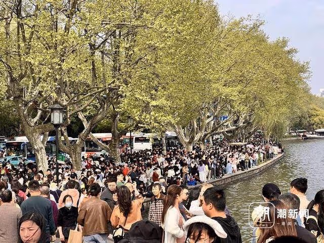 鋪滿了人!杭州斷橋比白蛇找到許仙那天還熱鬧!