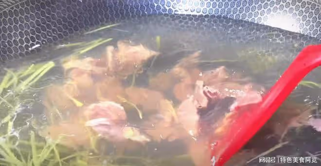 萬萬沒想到,它也能吃,吃一次要砍一棵樹,一周3次,養心又安神