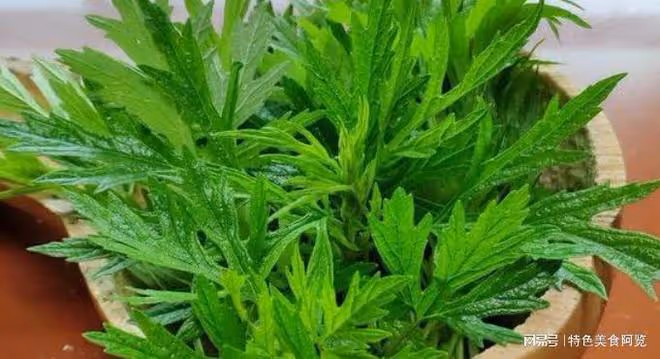 10種營養價值被嚴重低估的野菜,你都吃過幾種?