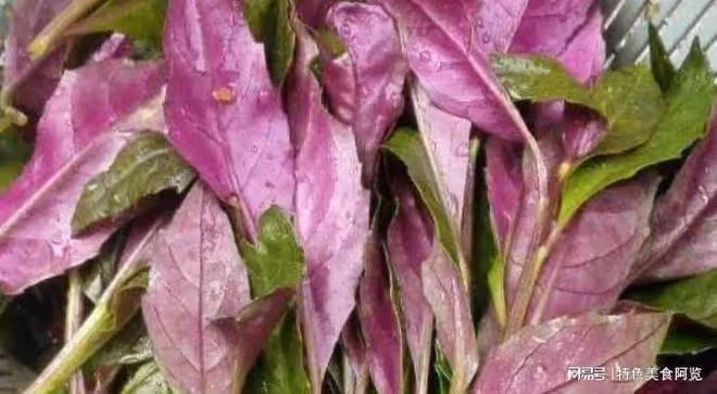 10種營養價值被嚴重低估的野菜,你都吃過幾種?