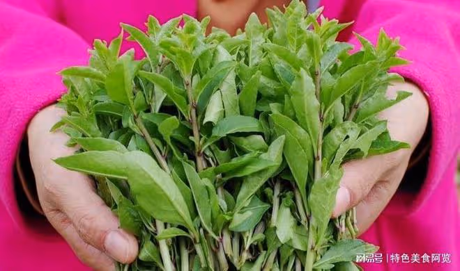 10種營養價值被嚴重低估的野菜,你都吃過幾種?