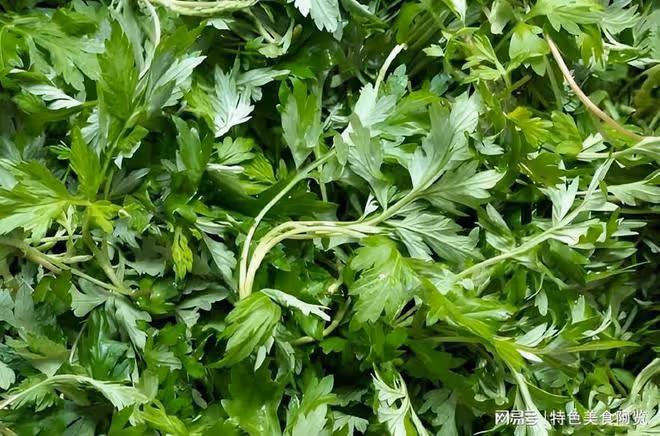 10種營養價值被嚴重低估的野菜,你都吃過幾種?
