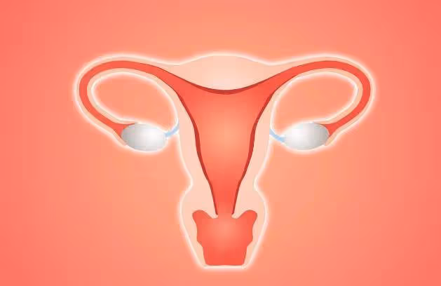 ​女人摘掉子宮後！和正常的女性有何不同　醫生說實話「有3個大變化」要提前護好健康