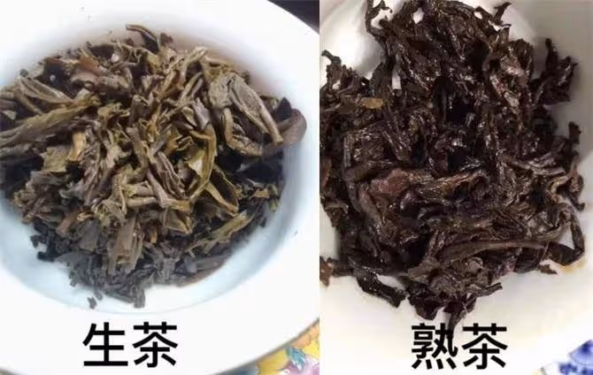 普洱生茶和熟茶有何區別?普洱生茶和熟茶的沖泡方法
