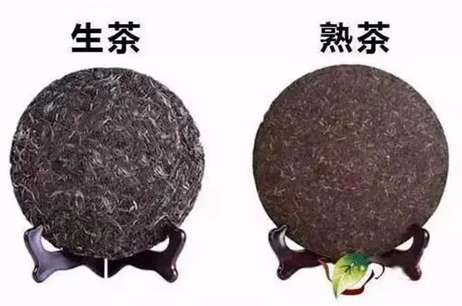 普洱生茶和熟茶有何區別?普洱生茶和熟茶的沖泡方法
