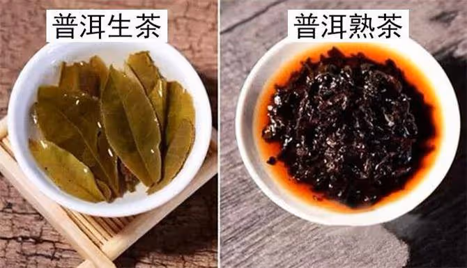 普洱生茶和熟茶有何區別?普洱生茶和熟茶的沖泡方法
