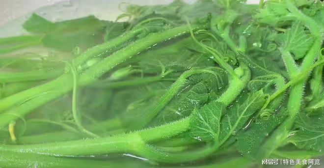 春天吃它,一清肺,二平肝,三促消化,這樣做,脆嫩鮮甜又下飯