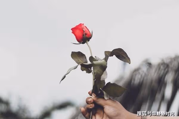 等你老了，走不動了，有一件事最好守口如瓶，這才是真聰明