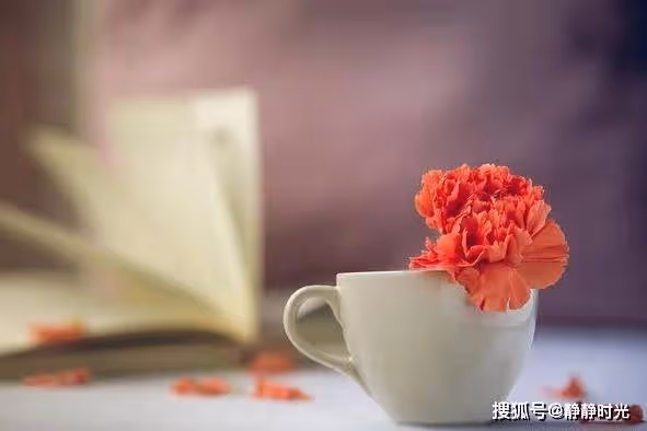 等你老了，走不動了，有一件事最好守口如瓶，這才是真聰明