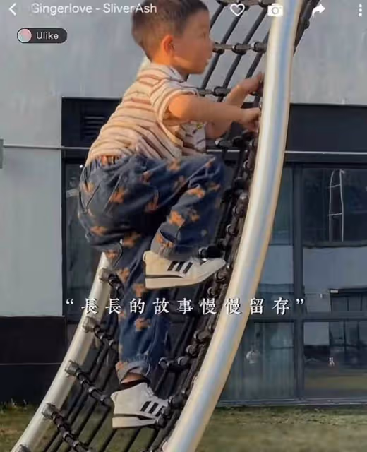 熊磊曬兒子近照活潑,田靜換方式帶貨,許敏身邊吉祥四寶相伴
