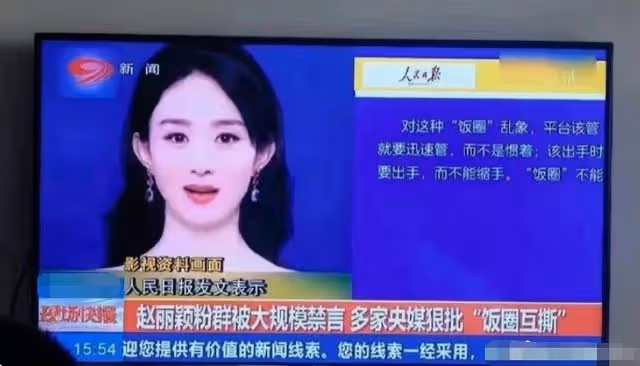 鬧大了！趙麗穎粉絲自導自演炒作，被人大代表點名了！