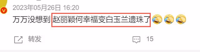 鬧大了！趙麗穎粉絲自導自演炒作，被人大代表點名了！