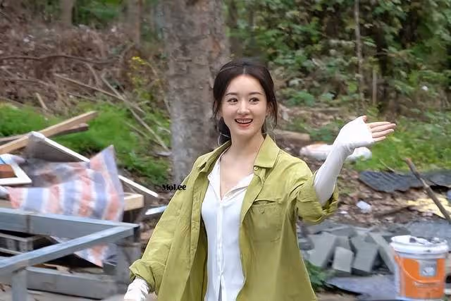 鬧大了！趙麗穎粉絲自導自演炒作，被人大代表點名了！