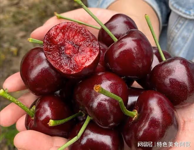 清明小長假結束,大連迎來旅遊小陽春,旅順海菜包子領銜特色美食