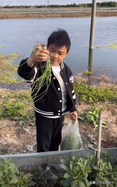 內蒙袖珍女嫁211高材生，12年堅持丁克，如今疑似家暴的她後悔嗎