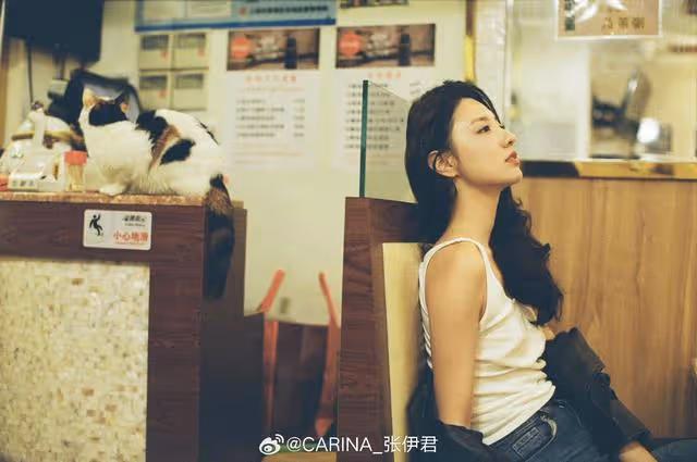 追風者只剩四集大結局，萬萬沒想到，宋美娟才是隱藏最深的人！