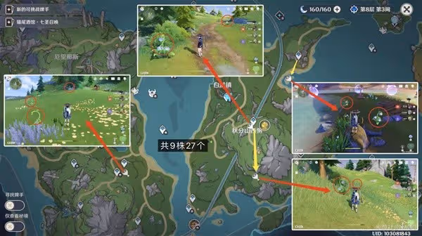 《原神》柔燈鈴採集路線分享