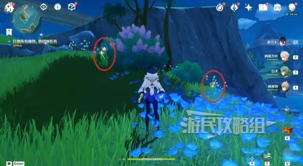 《原神》虹彩薔薇位置及收集路線