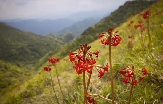 61歲大爺：找個老伴兒，家裡成了幼兒園，這樣還應該走下去嗎