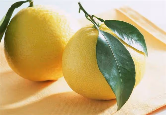 柚子什麼時候成熟?「不起眼」的柚子,卻對人體有這五種好處
