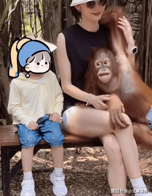 林峯一家參觀動物園,3歲女兒抱老虎膽量不小,張馨月自信秀身材