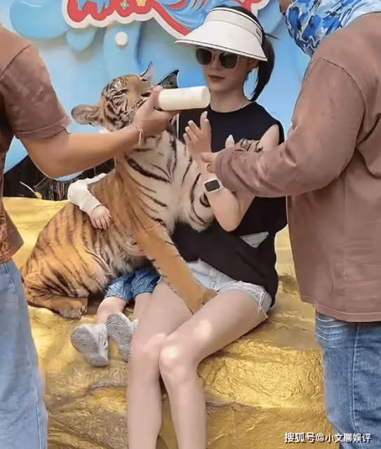 林峯一家參觀動物園,3歲女兒抱老虎膽量不小,張馨月自信秀身材