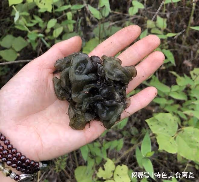 陝西人從小吃到大的【地軟包子】!薄皮大餡,香辣入味,超過癮~