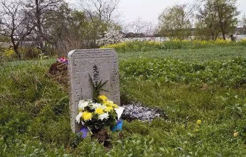 女兒托夢說想吃餃子,母親煮好端到墳前「抬頭瞥見墓碑」撒腿就跑!