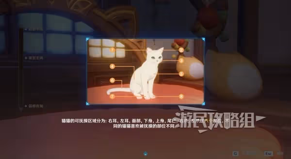 《原神》茸茸城堡大喵險全關卡滿獎勵攻略
