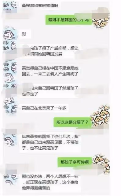 蔡琳高梓淇離婚6年首同框！女方劃清界限否認復婚，男方表態好暖