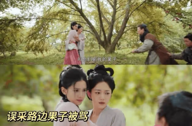 《惜花芷》四夫人的孩子是誰的?花家為什麼被抄家?