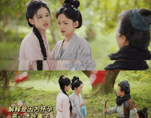 《惜花芷》四夫人的孩子是誰的?花家為什麼被抄家?