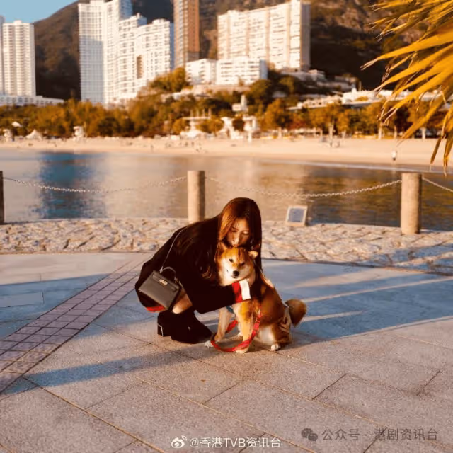 TVB當紅小生與失婚富貴女友低調放閃！曾被指食軟飯與朱晨麗劃清界線