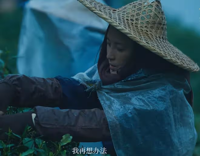 看了《草木人間》，發現演技不能比較，因為優與劣一目了然