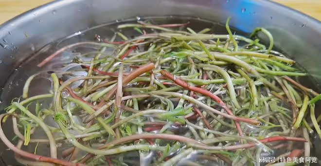 藏在身邊的肝臟「大救星」，隔三岔五吃一頓，解酒護肝、抗衰老！